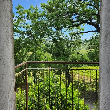Il Giuggiolo - La Collina Della Quiete *