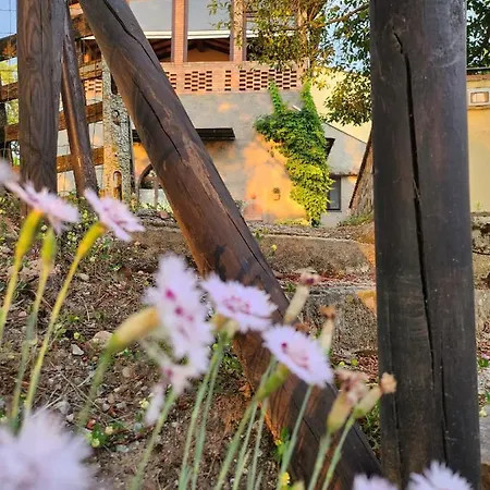 Bed & Breakfast Il Giuggiolo - La Collina Della Quiete Certaldo