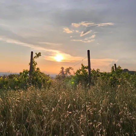 Il Giuggiolo - La Collina Della Quiete *